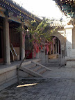 P1150942.JPG