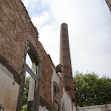 img_8313.jpg