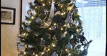 . Christmas Tree and Other Decor