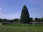 IMG00307-20090807-1317.jpg