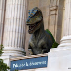 20100402_029.JPG