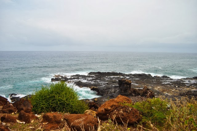 [DSC_9482%255B4%255D.jpg]