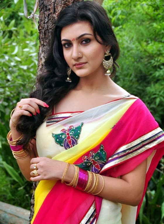 [neelam_upadhyay_beautiful_in%2520saree_photos%255B5%255D.jpg]