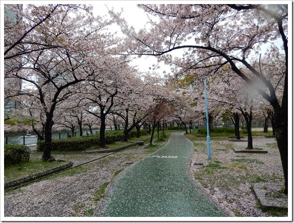 2013OsakaTrip_Day2_17