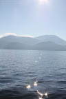 Still calm waters