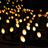 20111119_