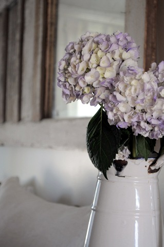 [purple%2520hydrangeas%255B10%255D.jpg]