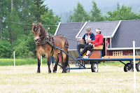 DSC_0445.JPG