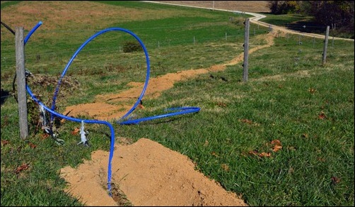 water for the cow pasture water for the cow pasture