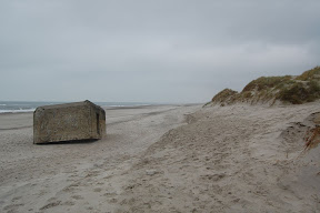 DSC_0190.JPG