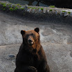 hokkaido_615.jpg