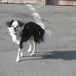 DSCN4746.jpg