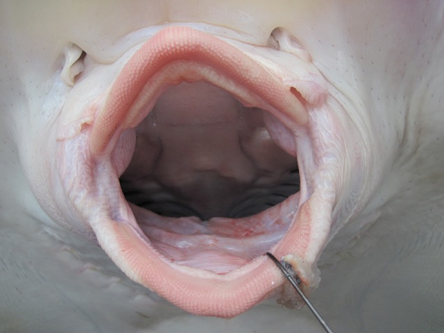 [IMG_0645%255B6%255D.jpg]