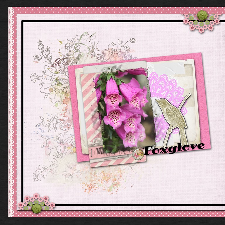 [foxglove%255B4%255D.jpg]