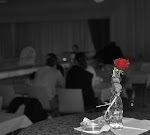 DSC_5286.JPG