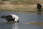 Bishnoi Village_Jodpur, India 091.JPG