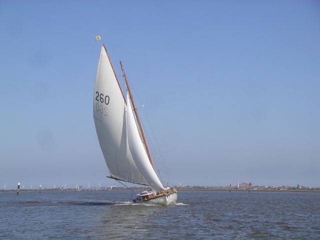 IMGP4458