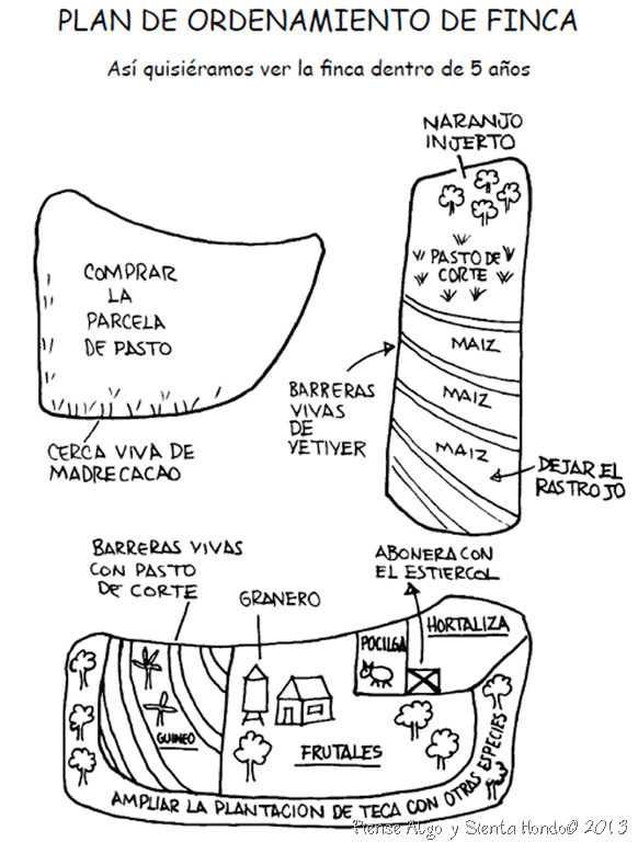 Ordenamiento de finca