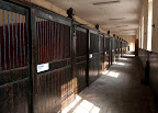 Badminton stables nice and calm before the big rush tomorrow