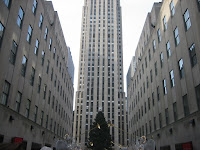 Cool view of the tree and tower