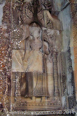 IMG_0584 IMG_0584