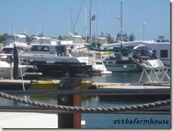 IMG_4267a IMG_4267a