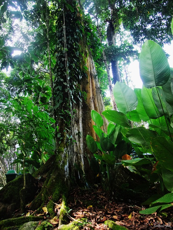 [DSCF86764.jpg]