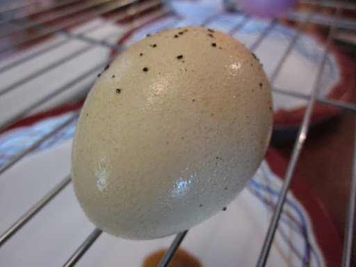 Coffee makes a dinosaur egg!