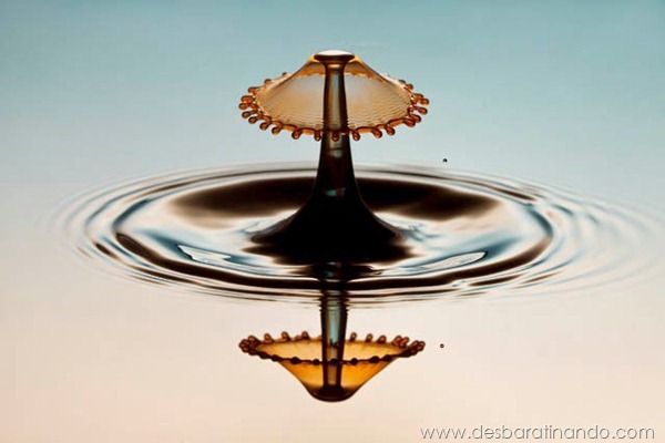 liquid-drop-art-gotas-caindo-foto-velocidade-hora-certa-desbaratinando (175) liquid-drop-art-gotas-caindo-foto-velocidade-hora-certa-desbaratinando (175)