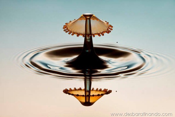 liquid-drop-art-gotas-caindo-foto-velocidade-hora-certa-desbaratinando (175)