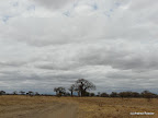 Tarangire Nationalpark