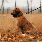 Abi - DSC_0341.jpg