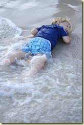 IMG_2640 IMG_2640