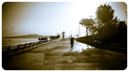 2011-12-10-006