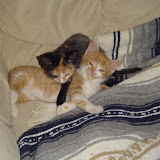 Tink and Tess.
