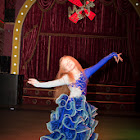 IMG_4566.jpg
