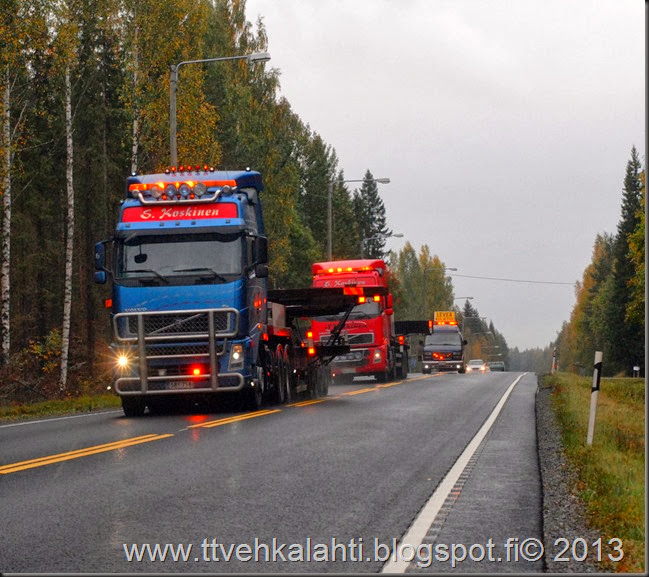 sienimetsällä 011 sienimetsällä 011