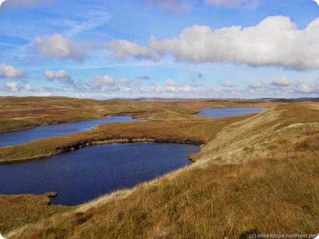 lots of tarns