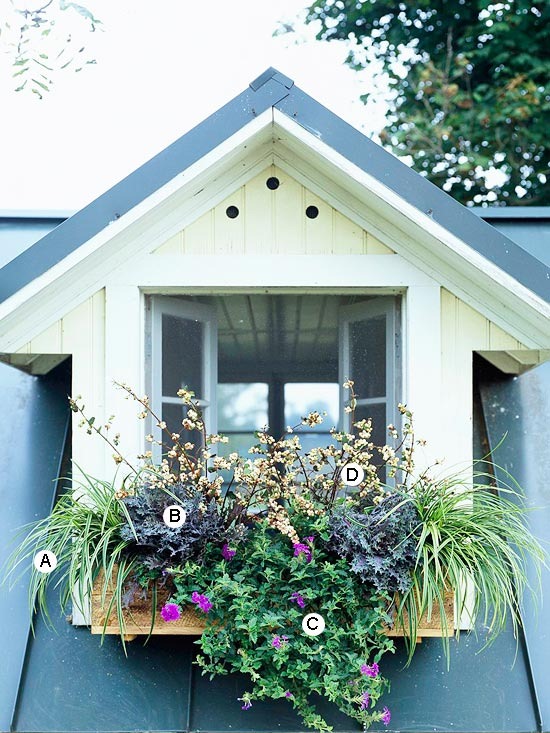 [window-box5.jpg]