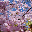 DSC02602.JPG