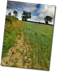 IMG_4552 IMG_4552