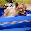 DSC03583.jpg