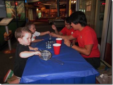 IMG_4067 IMG_4067