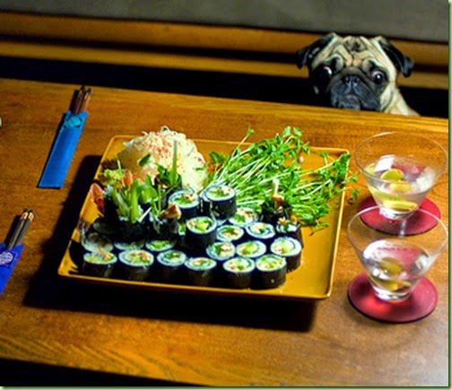 pug sushi