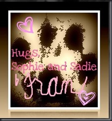 sophie and sadie blog signature