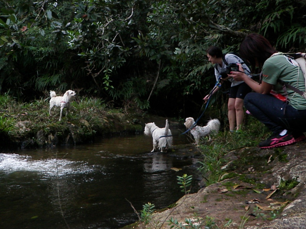 [Dogs%2520Trekking%25204%2520%2528150%2529%255B5%255D.jpg]