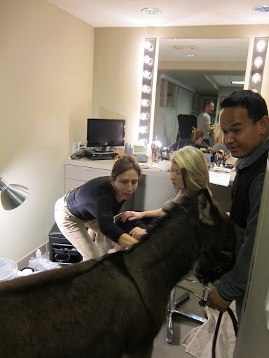 And now Rufus is getting a little hair and makeup!  Look!  Even Gyurme went along!