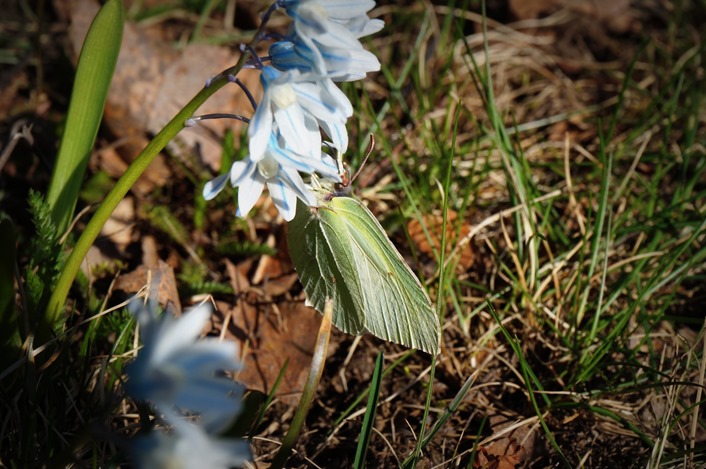 DSC04430 DSC04430