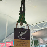 DSCF6163.JPG