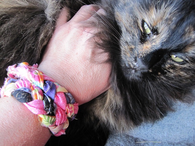 [August20111006.jpg]